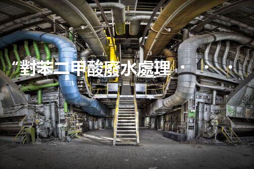 “對苯二甲酸廢水處理，綠色創(chuàng)新引領(lǐng)環(huán)保新篇章”